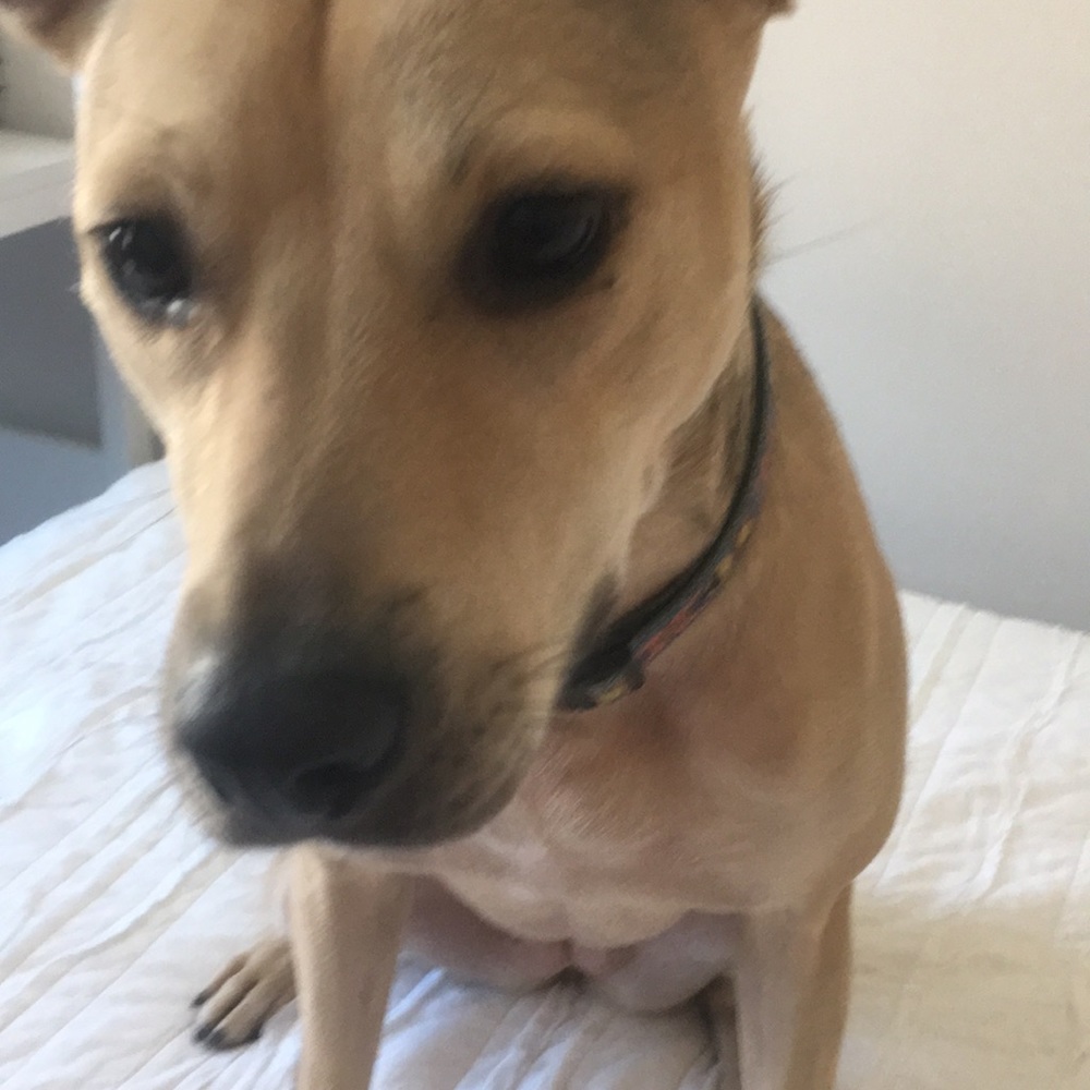 Meet your Posher, Kate